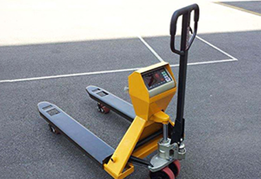 Electronic scale carrier